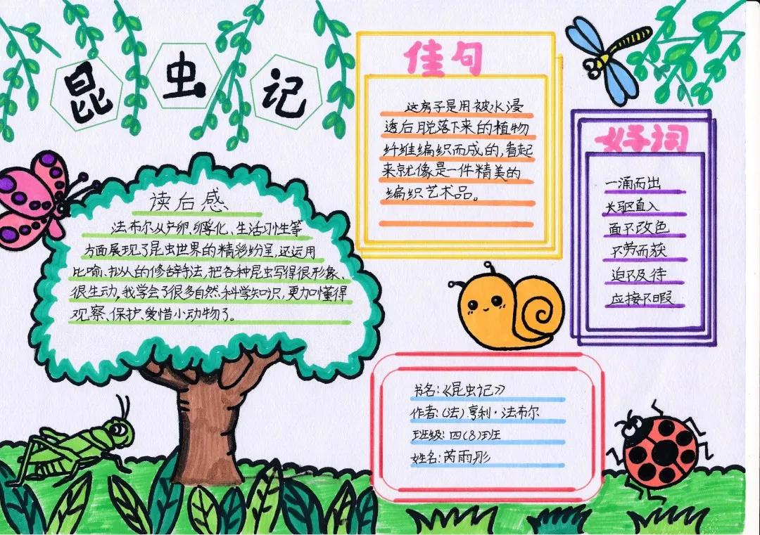 简单的十万个为什么手抄报-图3