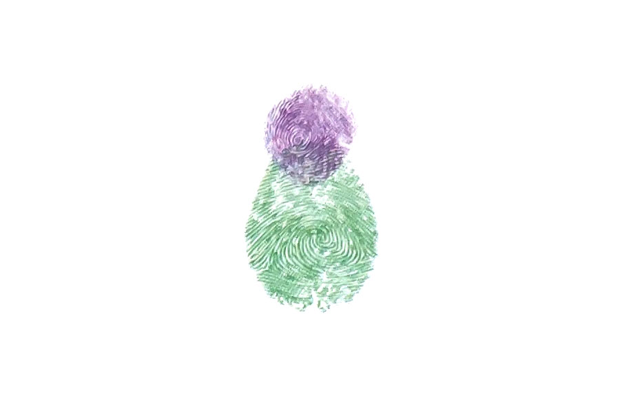 步骤2：伸出小拇指蘸取颜料，在画纸上按出鹦鹉的小脑袋。