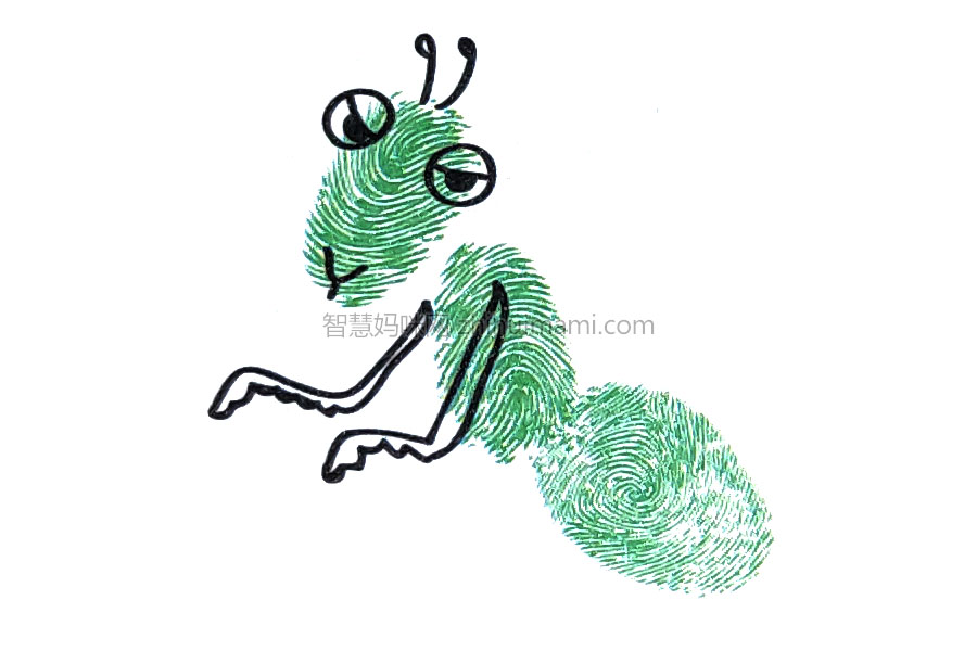 步骤4：画出螳螂胸部的一对镰刀状的足，这对足上生有许多钩状刺，专门用来捕捉猎物。