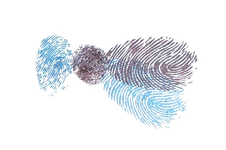 步骤4：用食指蘸取另一种颜料，在身体的基础上按出蚊子的翅膀。