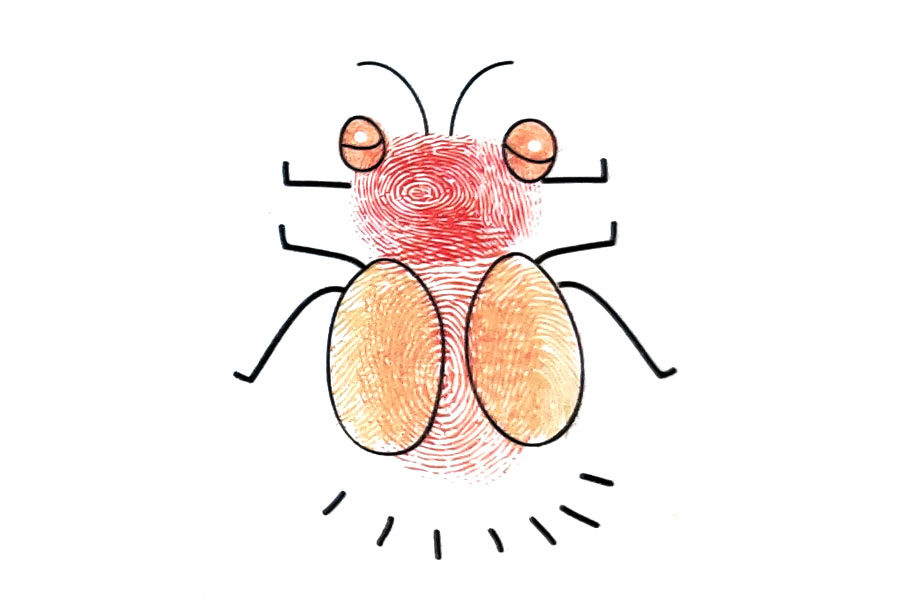 儿童指印画大全 萤火虫指印画画法