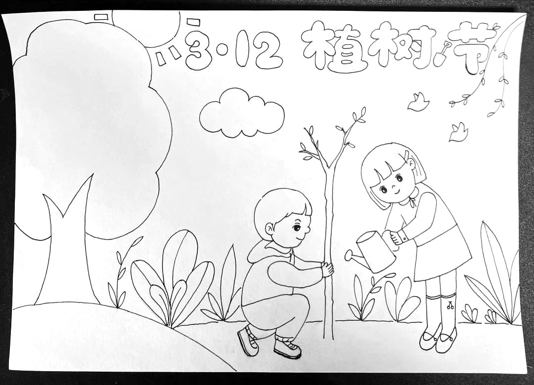 步骤1：先用黑色细笔画出植树节手抄报线稿。