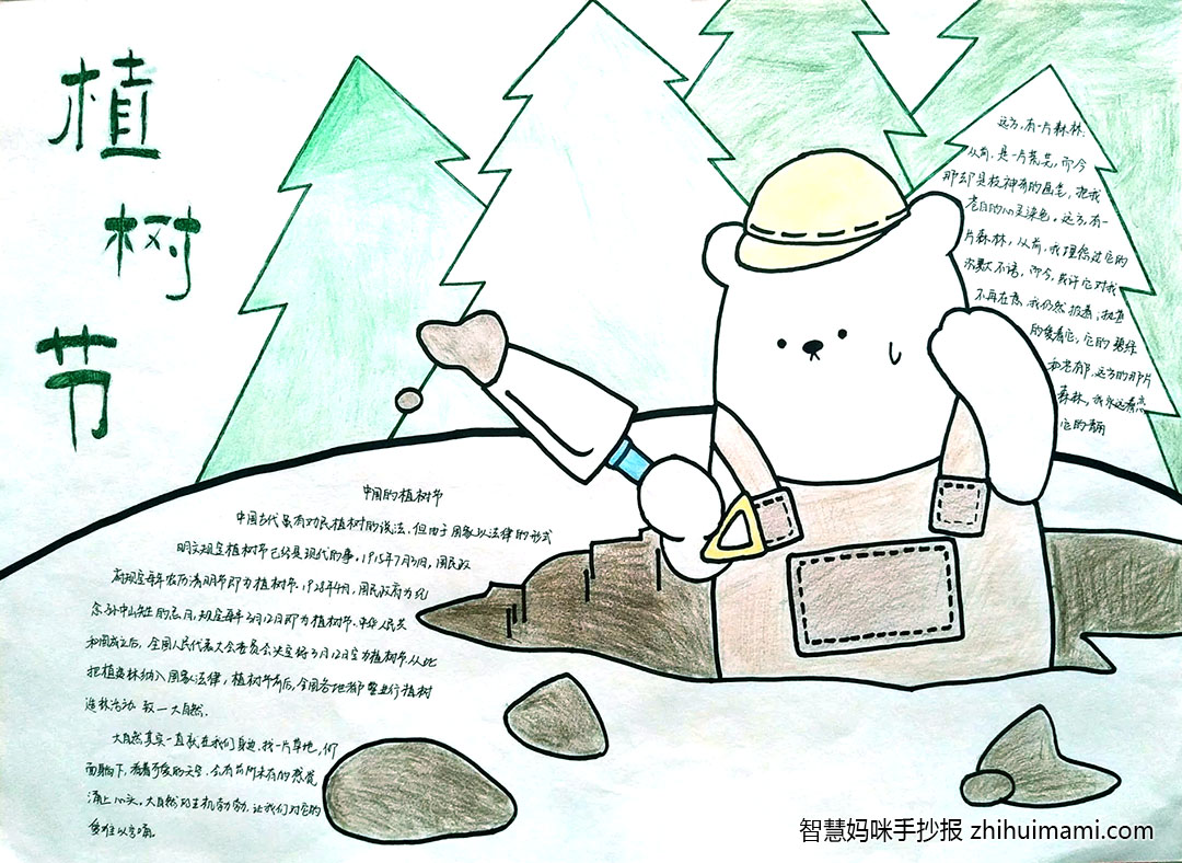 小学生植树节手抄报简单又漂亮-图5