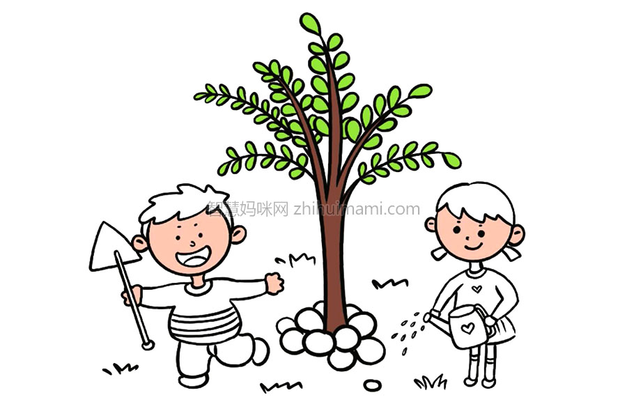 步骤5：开始涂色啦！