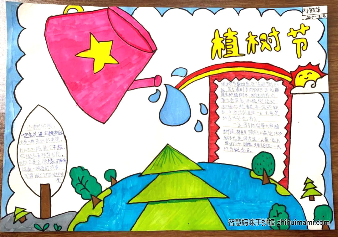 9张简单漂亮的植树节手抄报图片-图2