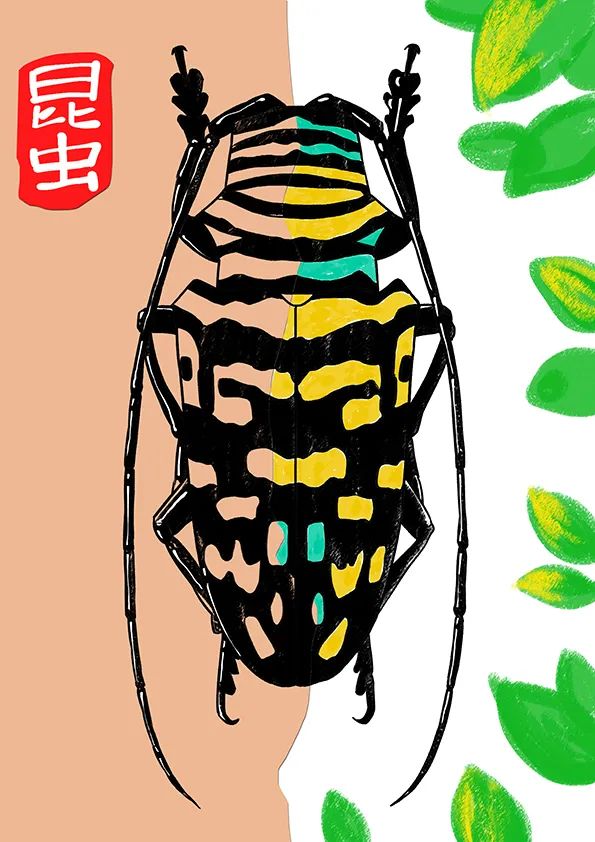 漂亮的彩色天牛儿童画