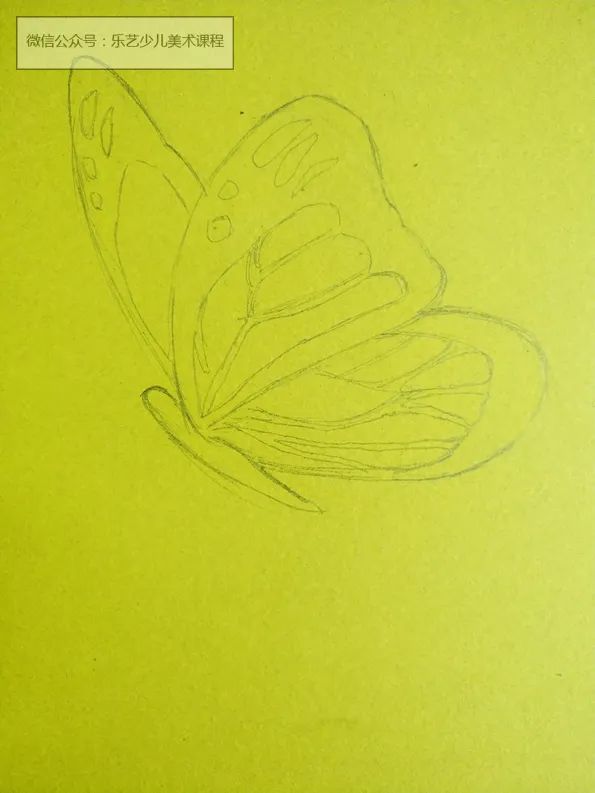 步骤1：首先我们用铅笔在黄色硬卡纸上画出蝴蝶的形状和花纹分布。