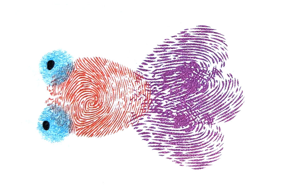 步骤4：画上金鱼的黑眼珠，这下有了金鱼的模样了吧？