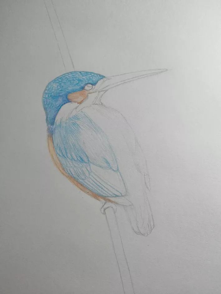 步骤4：继续用棕色和黄色画出相应的部分。