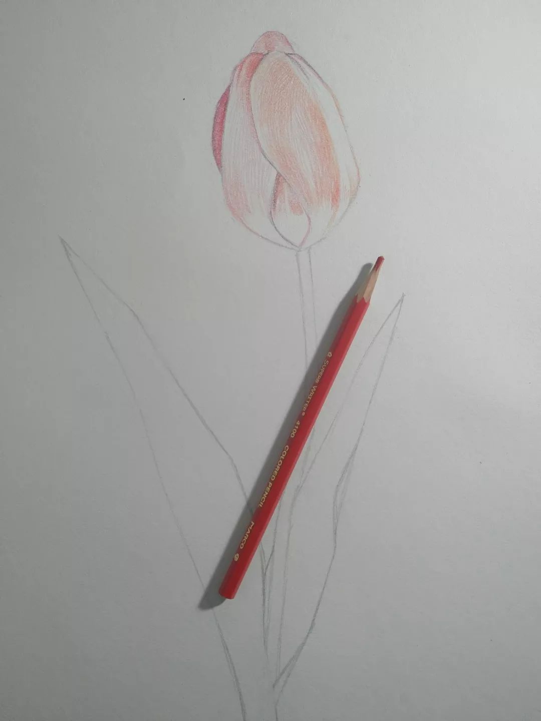 步骤3：我们先从花朵画起，在绘制的过程中要注意排线的方向要跟着花朵的结构，同时注意明暗关系。颜色是一层层深入的，不要一下子画够。