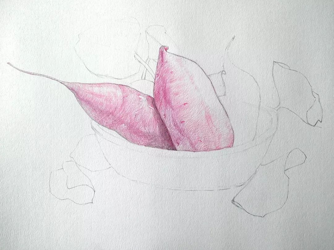 步骤2：轮廓线确定后，我们开始用彩铅进行绘制。这里从主体物——红薯开始。给出基本色调，这个步骤颜色不要太深，同时注意保持整体的明暗对比，有助于表现红薯的立体感。