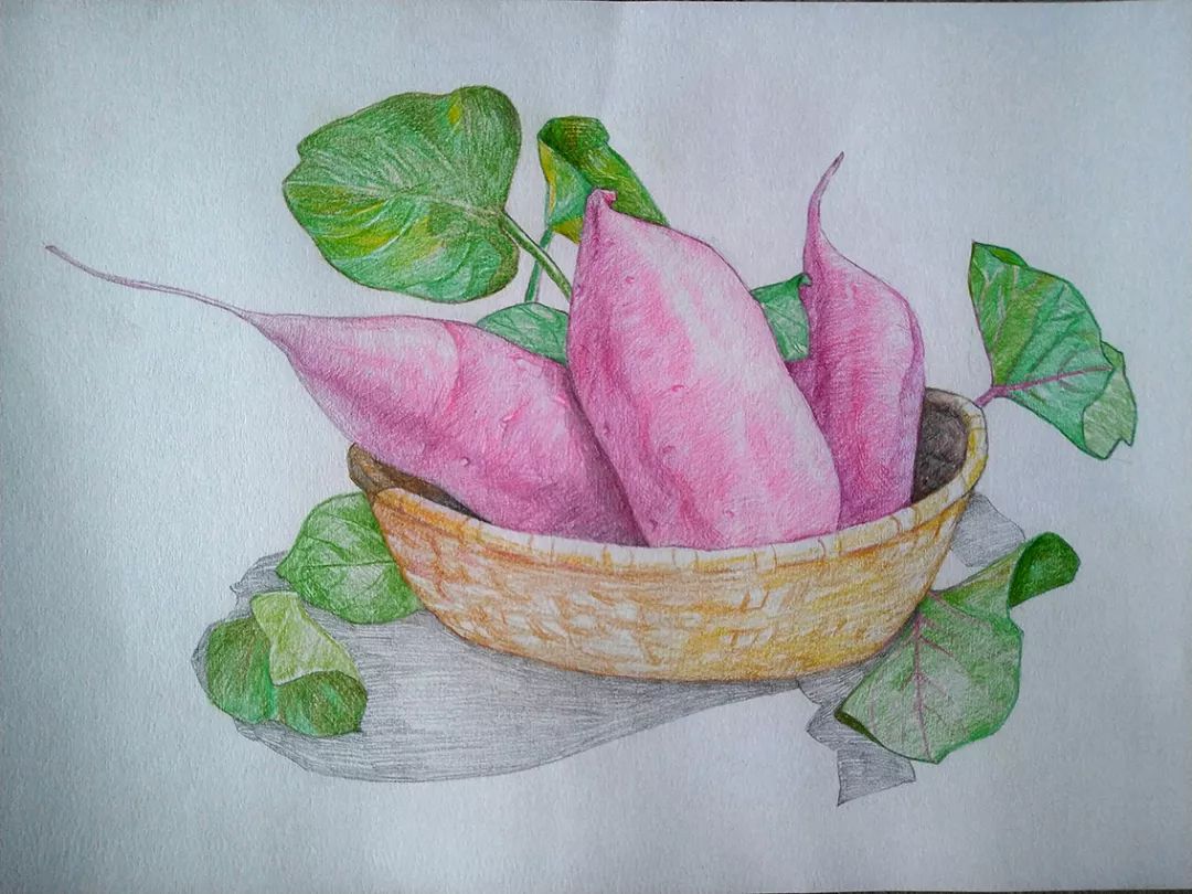 美味红薯儿童画优秀作品