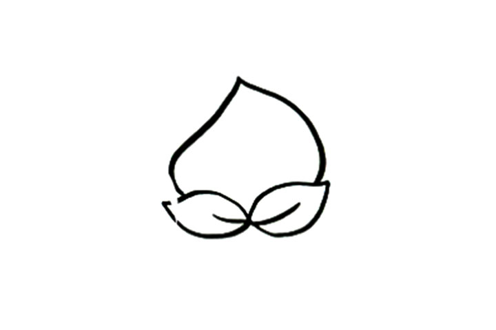 步骤2：画出叶子。