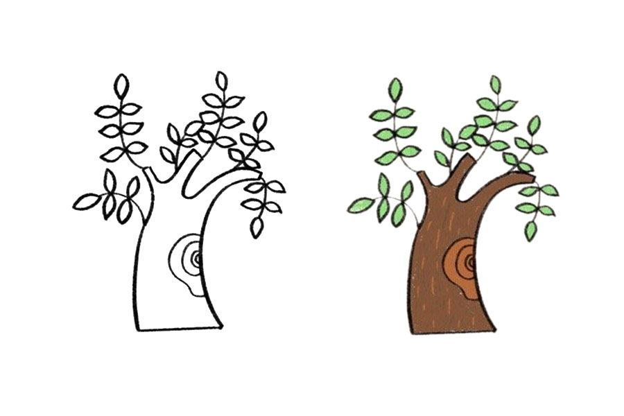植树节简笔画 九张漂亮的大树简笔画-图8
