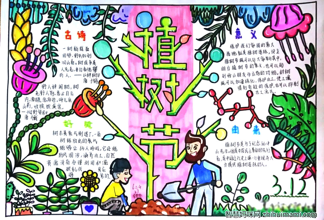 拥抱春天书绘绿意-3.12植树节手抄报优秀作品-图3