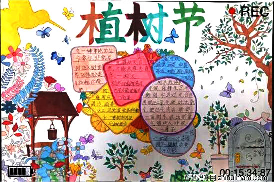 让环境更绿让生活更美3月12植树节手抄报漂亮-图4