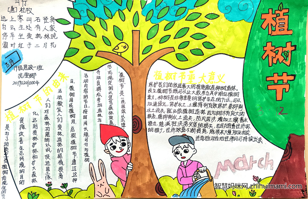 关于植树节的主题手抄报-图4