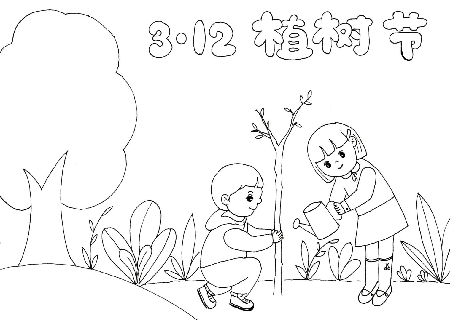 步骤4：然后画出地面以及地面上的一些植物。