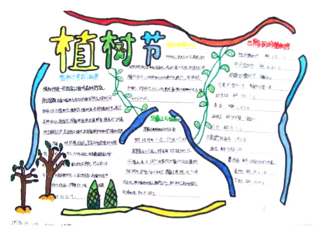 关于植树节的手抄报内容资料-图6
