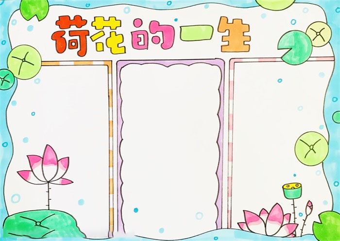 怎么画荷花的一生手抄报-图4