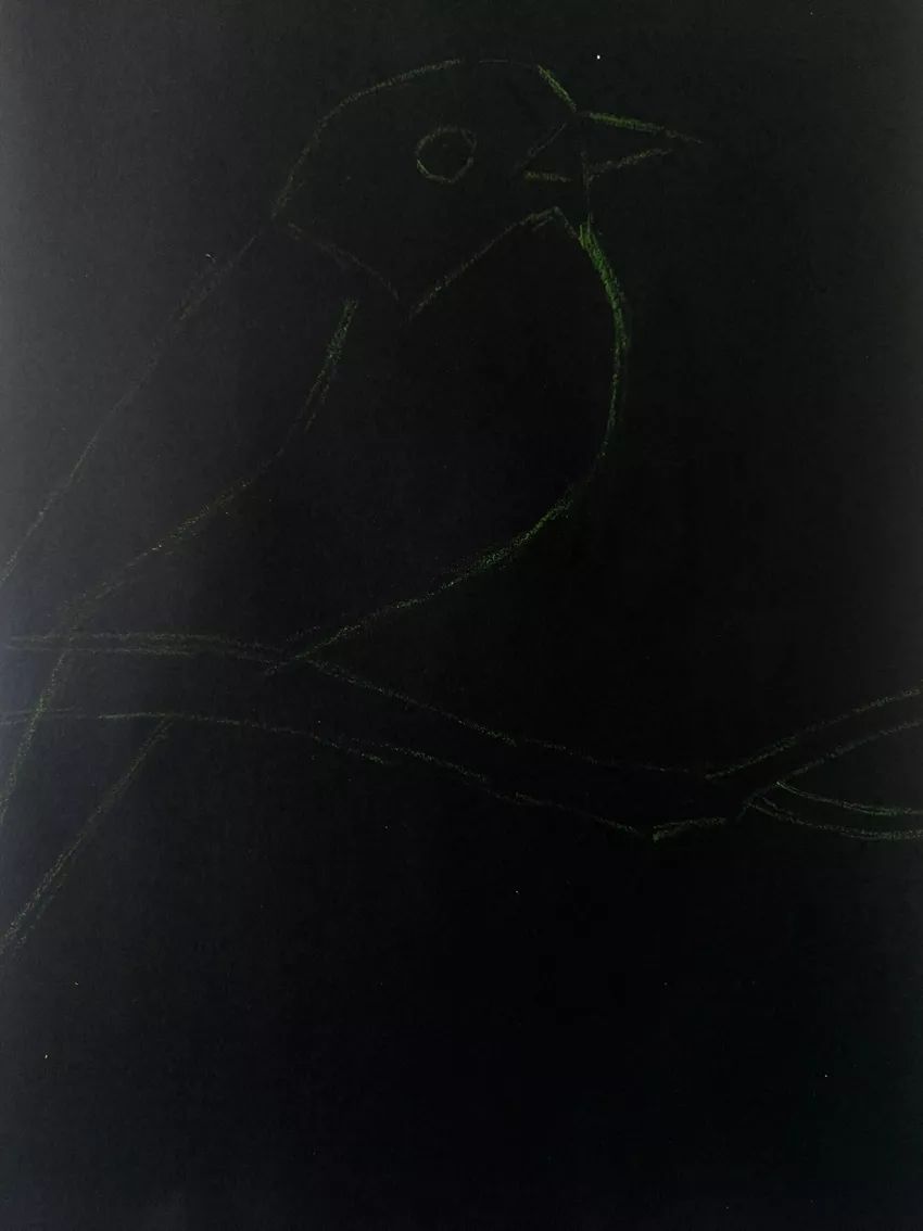 步骤1：用浅色油画棒在黑色卡纸上轻轻勾勒出鸟的形态和树枝的轮廓。用笔要做到胸有成竹，又轻快又准确，尽量避免反复修改。必要时可以先在其它纸上多练几遍鸟的造型。