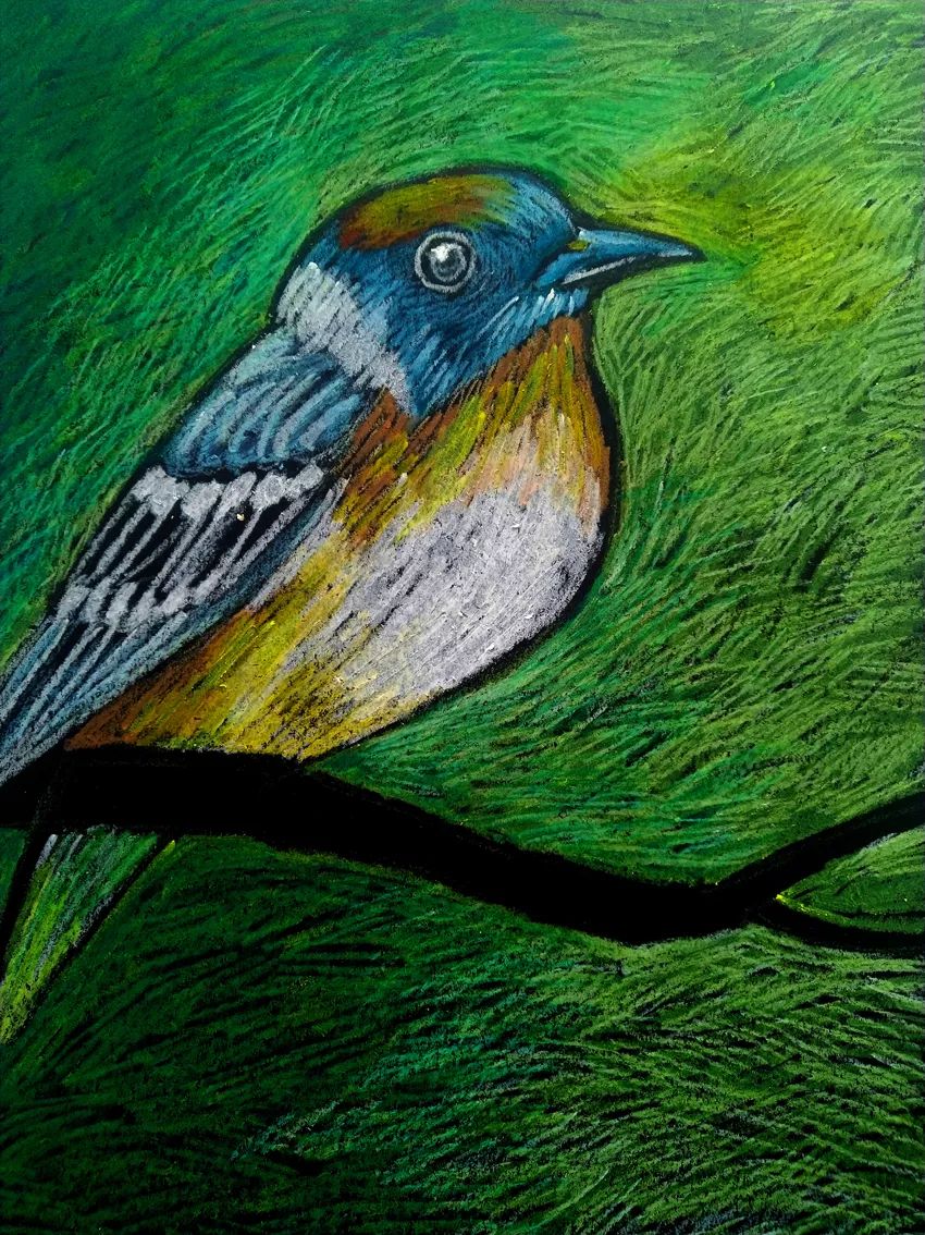 小鸟创意儿童画