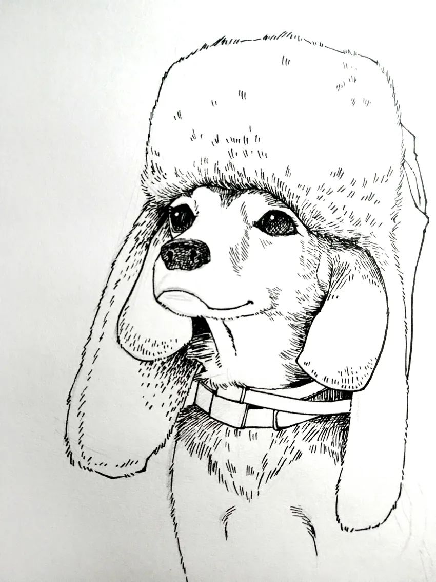 步骤3：铅笔草图完成后，用勾线笔进行勾线，该步骤需要考虑成稿线条的疏密关系，因此要格外注意线条的取舍。