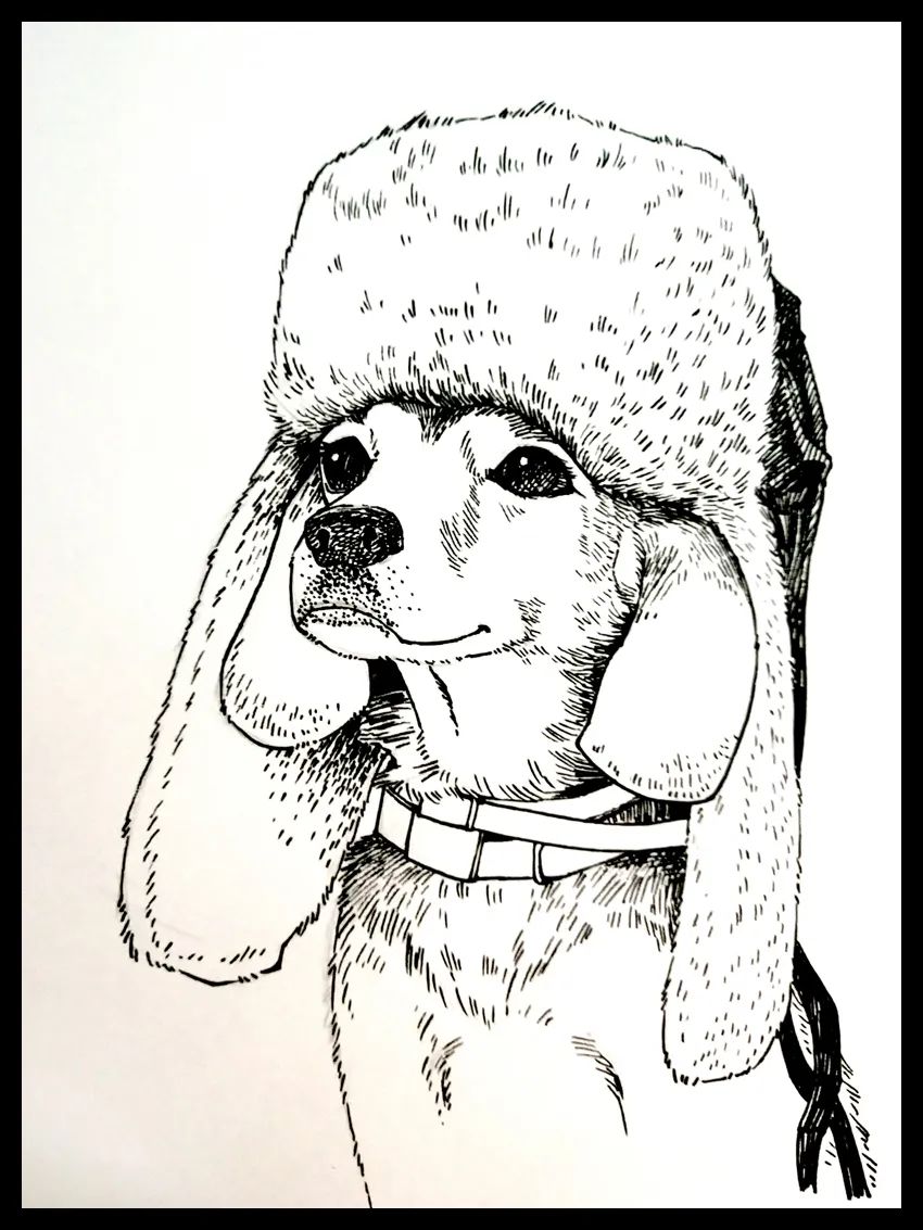 戴帽子的狗儿童绘画