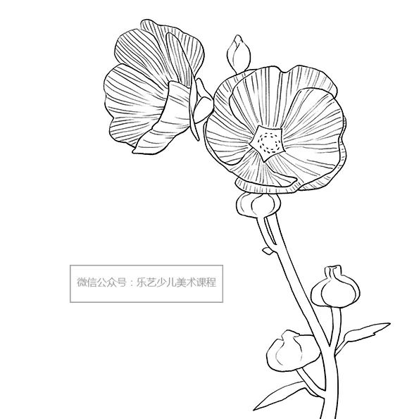 步骤2：然后，我们对画面进行细致勾勒并勾线。