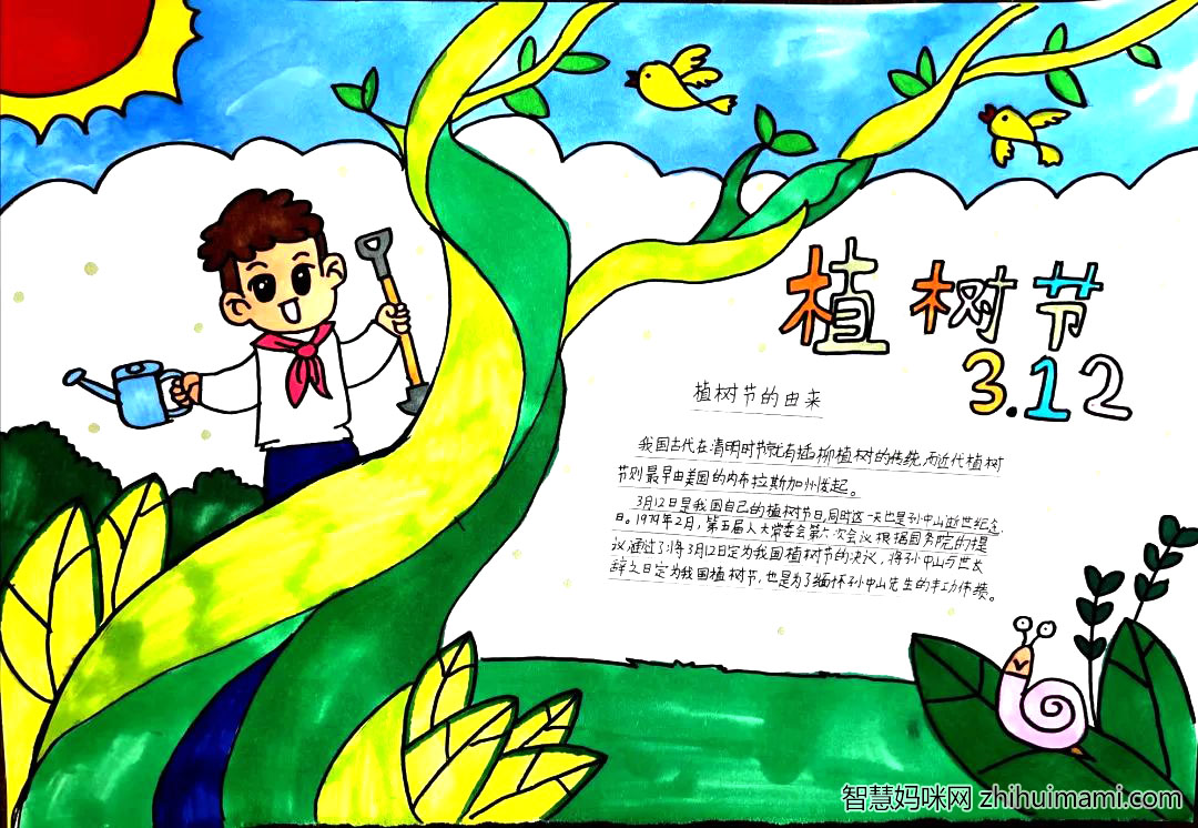 3.12植树节手抄报活动一等奖作品4张-图3