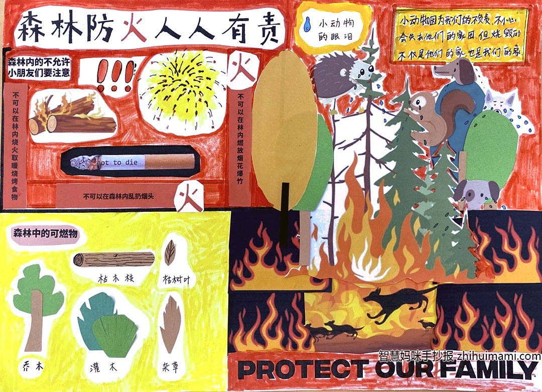 步骤5：作品简介:本幅手抄报以拼贴的形式呼吁大家保护森林，俗话说“水火无情”，在所有的自然灾害中发生频率最高的就是火灾。一个小小的火苗可以使大自然的宝贵资源遭到破坏，可以使人类创造的物质、精神财富化为灰烬，可以无情地夺走人最宝贵的生命。