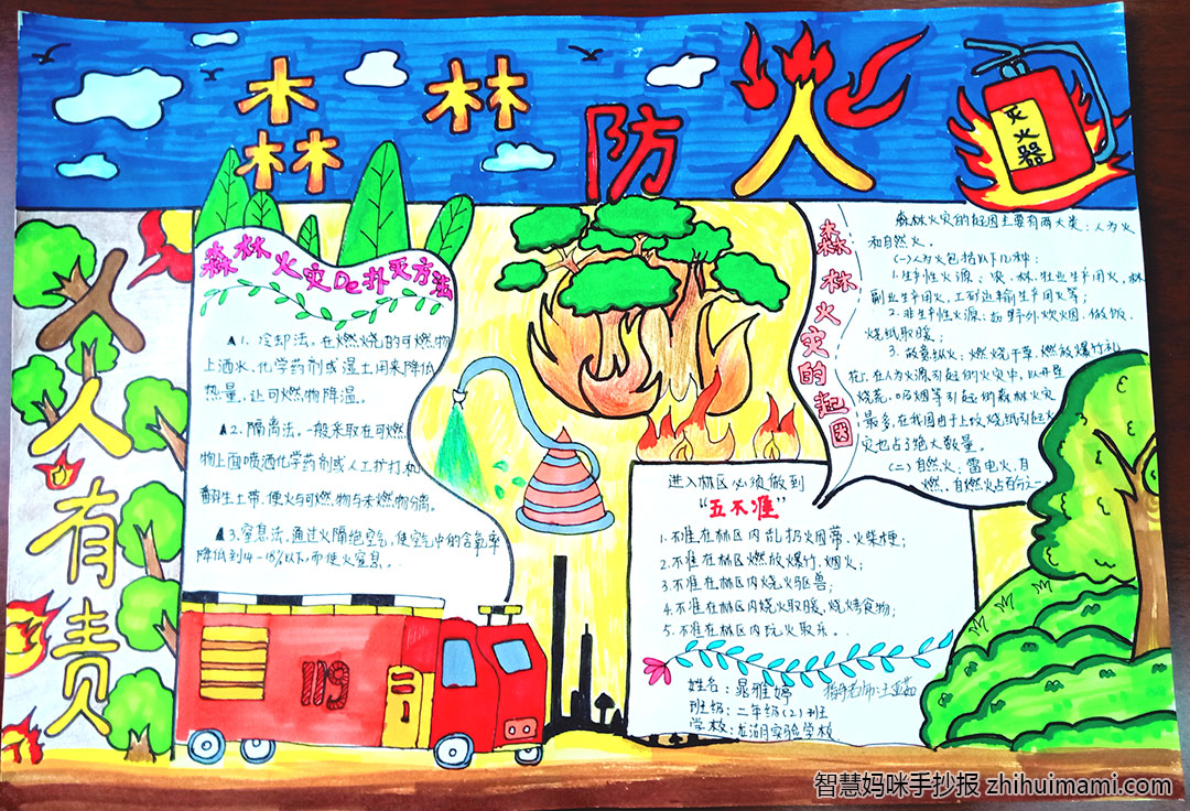 步骤2：作品简介:万人防火不算多，一人疏忽惹大祸