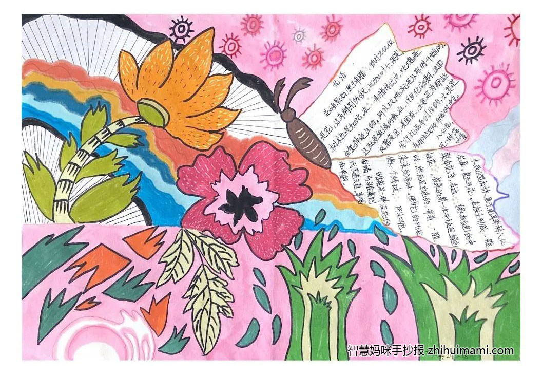 秘密花园手抄报绘画一等奖（9张）-图8