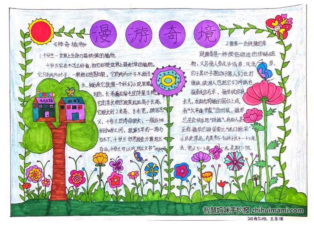 漫游奇境主题手抄报绘画一等奖（11张）-图5