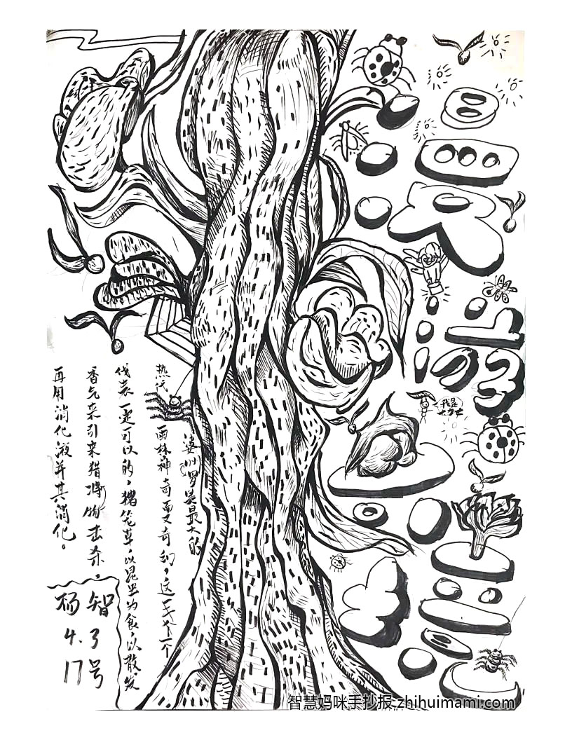 漫游奇境主题手抄报绘画一等奖（11张）-图8