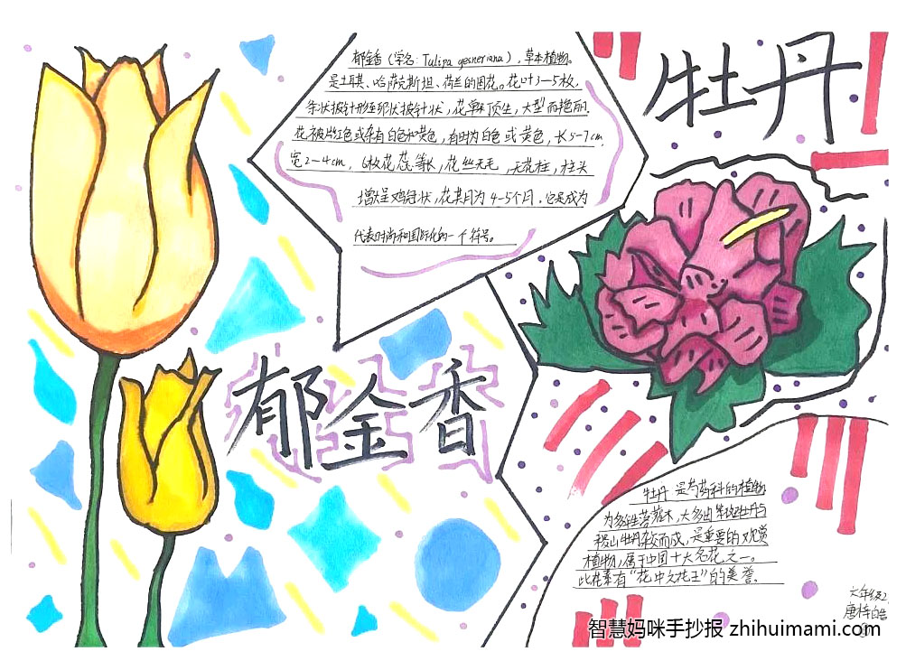 漫游奇境主题手抄报绘画一等奖（11张）-图10