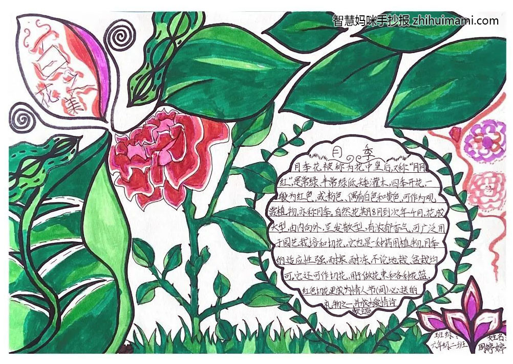 漫游奇境主题手抄报绘画一等奖（11张）-图11