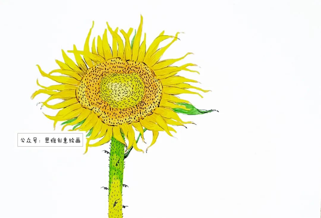 步骤3：用勾线笔装饰重一些的颜色