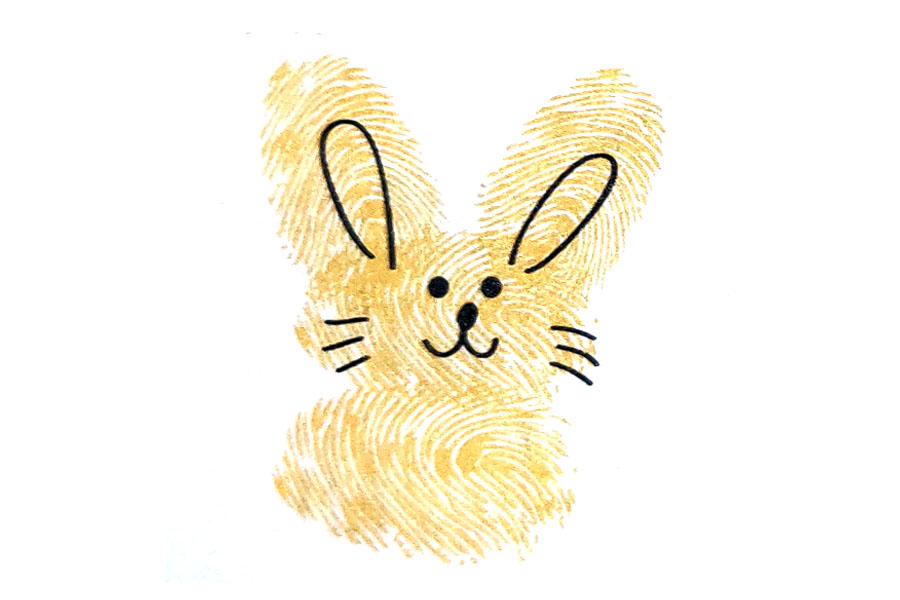 步骤4：画上耳朵的轮廓和胡子，是不是变得可爱多了？