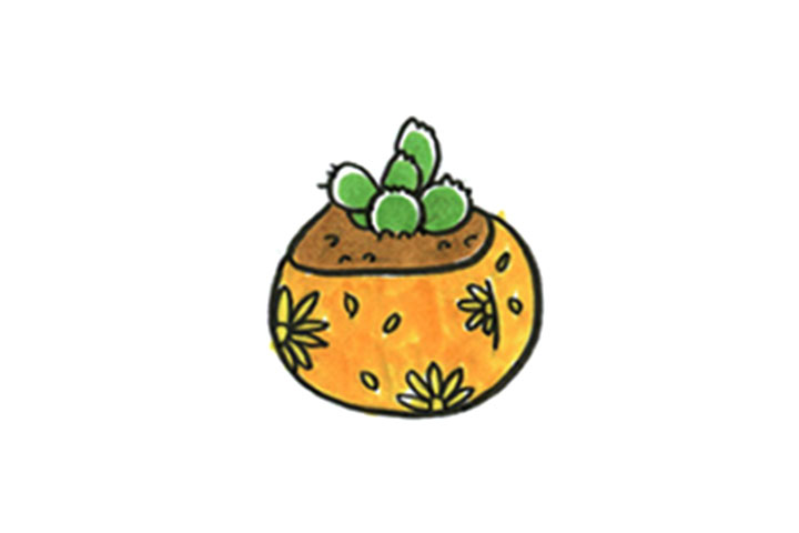 圆盆熊童子怎么画