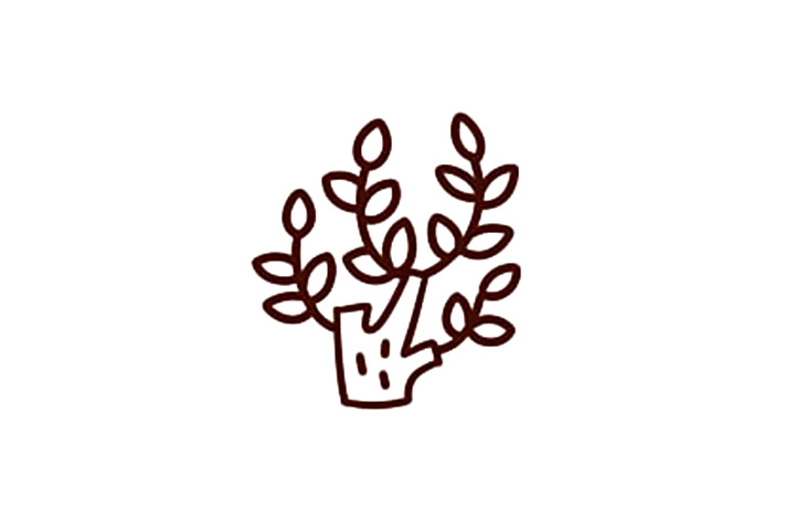 简单可爱的大树怎么画-图3