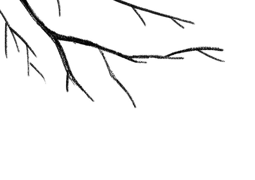 步骤1：首先我们用黑色油画棒画出柿子树的枝杈，注意线条的粗细变化。