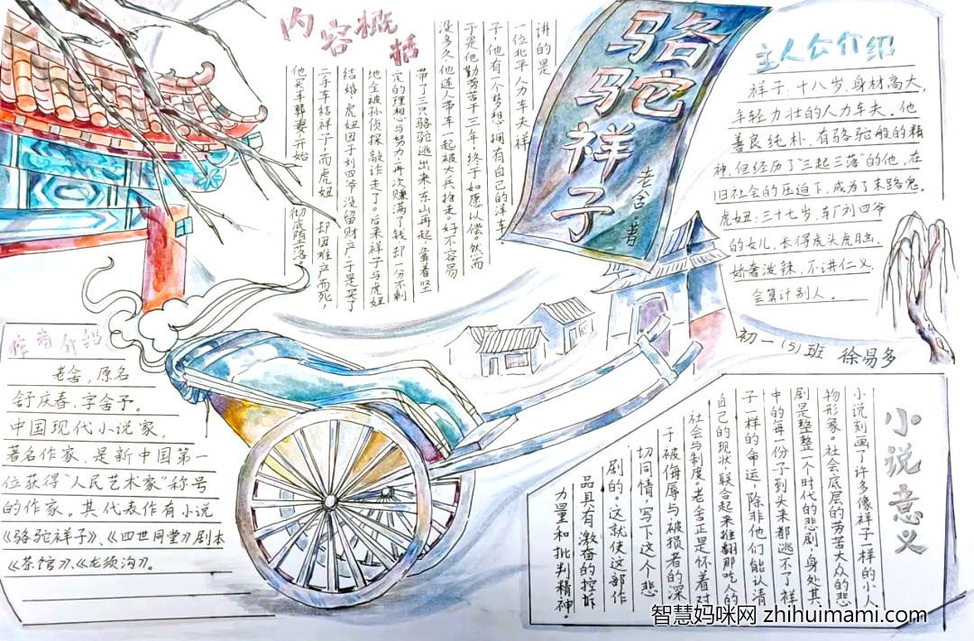 7张关于骆驼祥子的手抄报简单又漂亮-图1