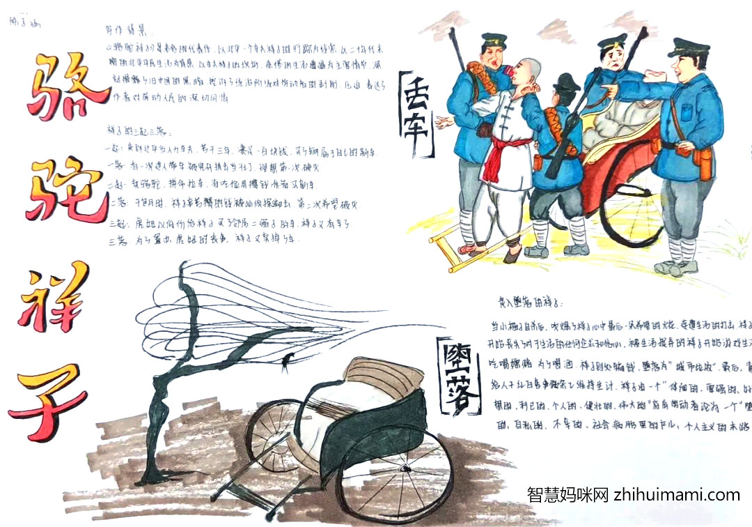 7张关于骆驼祥子的手抄报简单又漂亮-图3