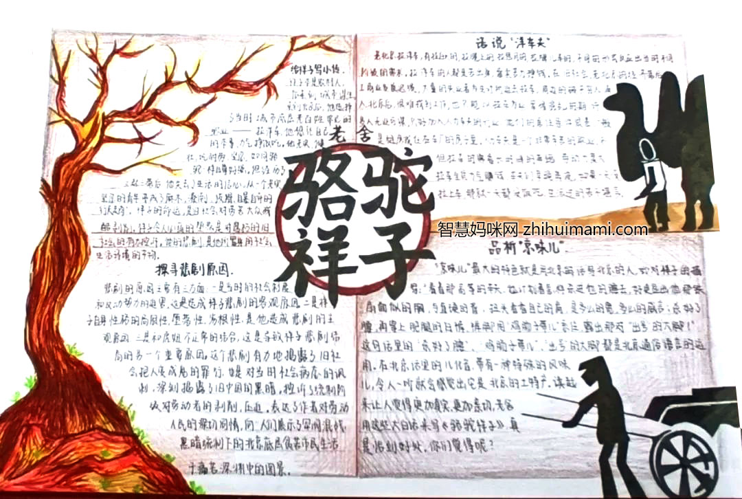 7张关于骆驼祥子的手抄报简单又漂亮-图4