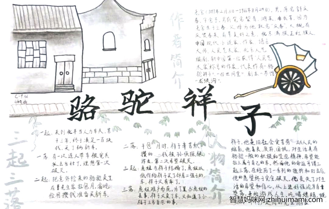 7张关于骆驼祥子的手抄报简单又漂亮-图5