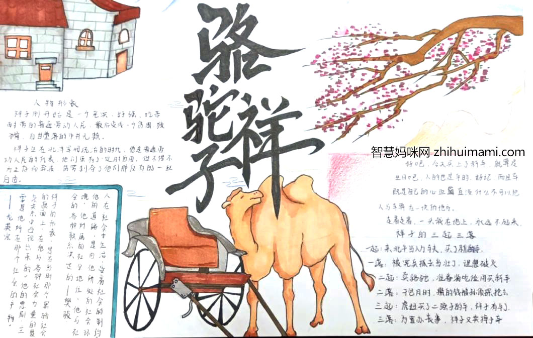 7张骆驼祥子读后感手抄报绘画（初一）-图4