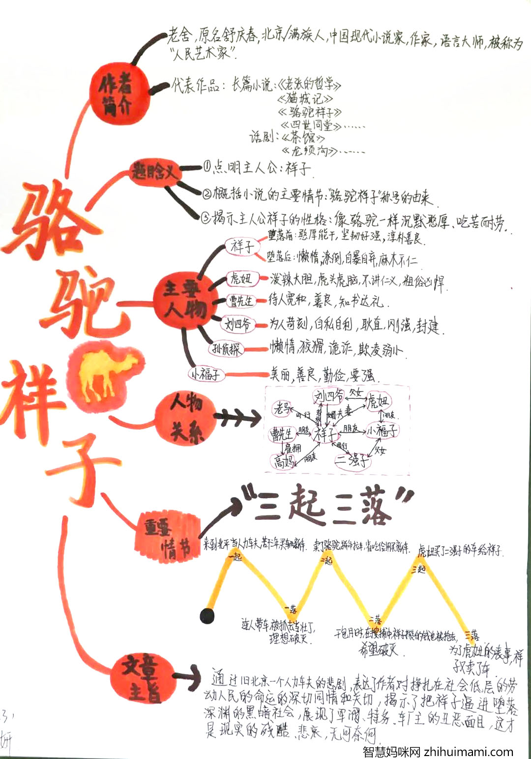 5张骆驼祥子思维导图手抄报图片-图2