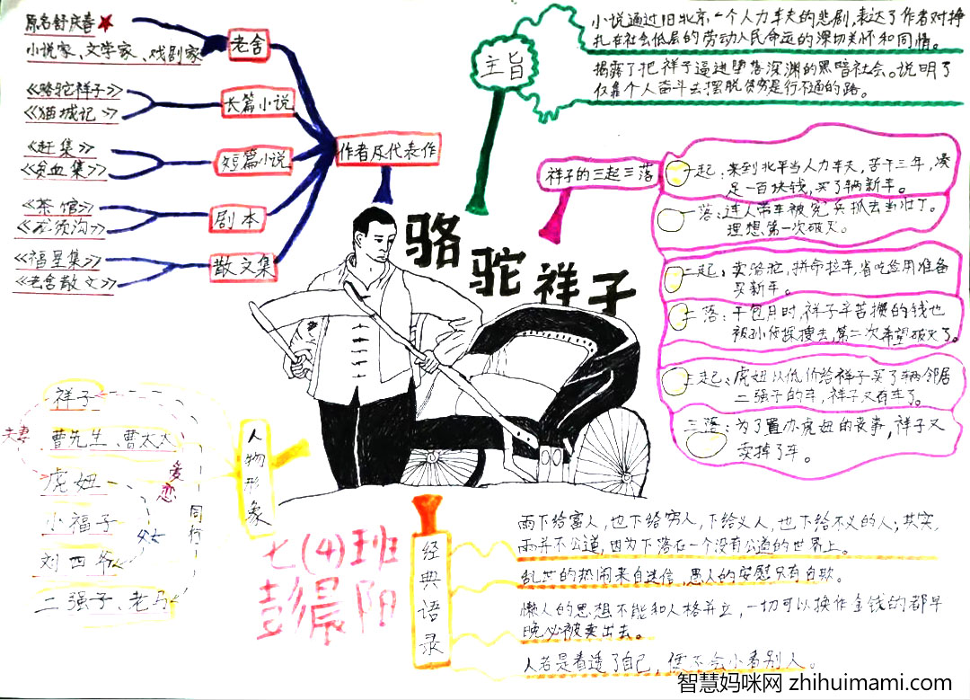 5张骆驼祥子思维导图手抄报图片-图4