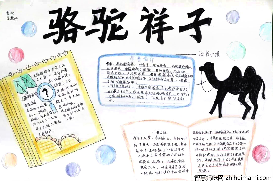 校园读书节-骆驼祥子手抄报7张-图4